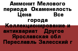 Аммонит Мелового периода. Окаменелость. › Цена ­ 2 800 - Все города Коллекционирование и антиквариат » Другое   . Ярославская обл.,Переславль-Залесский г.